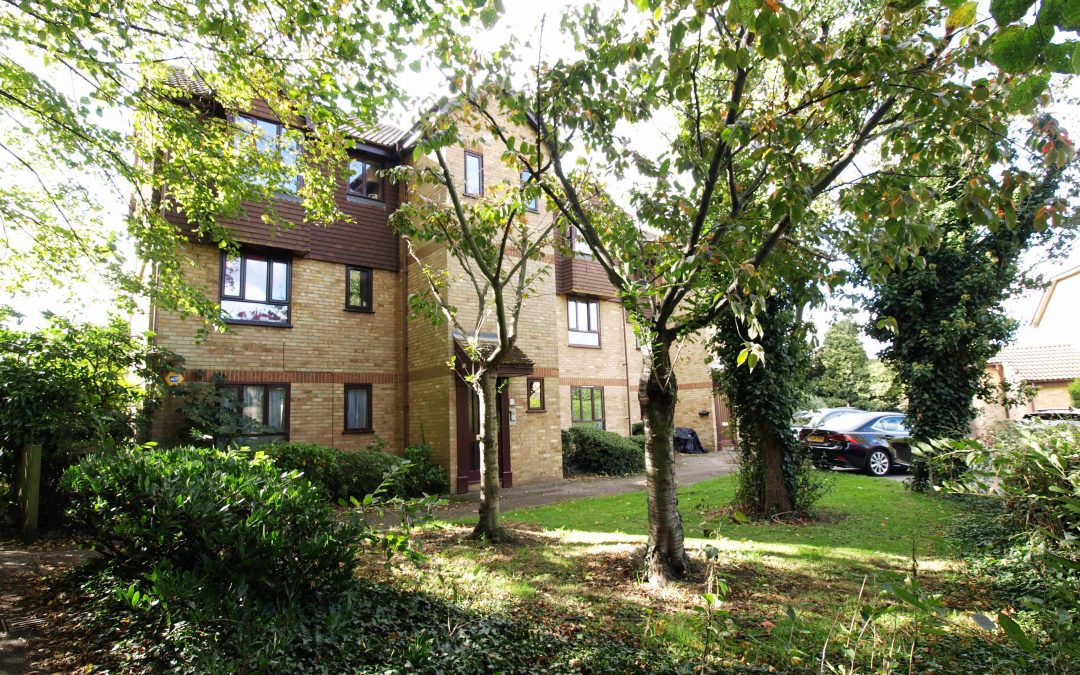 Old Orchard Court